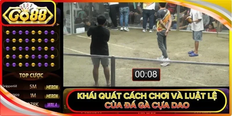 Đá Gà Cựa Dao - Hình Thức Thi Đấu Kịch Tính Được Yêu Thích 2 Khái quát cách chơi và luật lệ của đá gà cựa dao