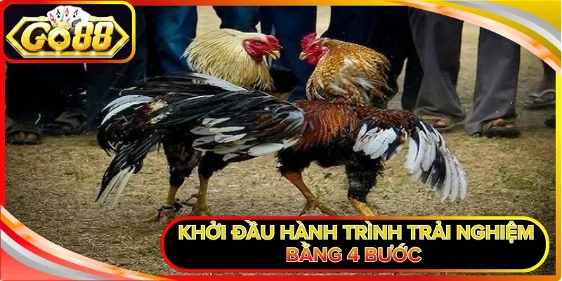 Đá Gà Cựa Sắt GO88 - Trải Nghiệm Những Trận Chiến Kê Cam Go 3 Khởi đầu hành trình trải nghiệm bằng 4 bước